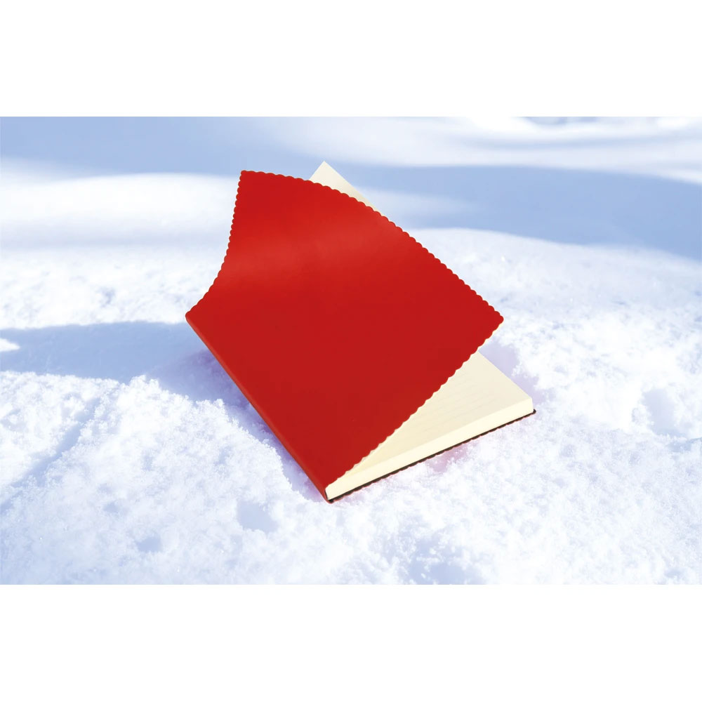 Erciyes-T Tarihsiz Defter